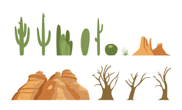 ilustraciones, imágenes clip art, dibujos animados e iconos de stock de colección de elementos del paisaje desértico - cactus