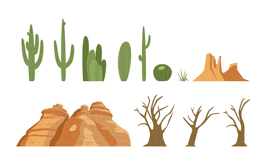 Vector Collection Of Desert Landscape Elements Cactus, Dried Trees, Sand Rocks. Isolated On White.
