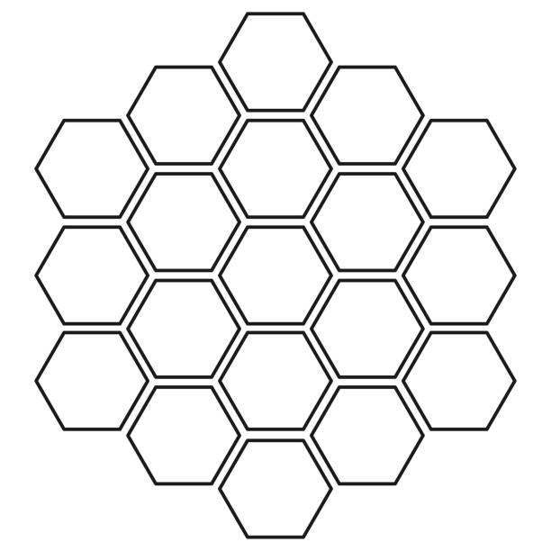 Black and white monochrome honeycomb grid background Black and white monochrome honeycomb grid background. Hexagon pattern. Vector illustration template for web site banner, poster, leaflet hexagon stock illustrations