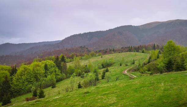 istock Spring landscape in the Carpathians in the rain 1323659307