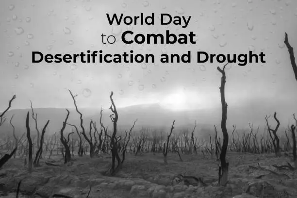 Poster of desert landscape, with drops in black and white, to celebrate the World Day to Combat Desertification and Drought