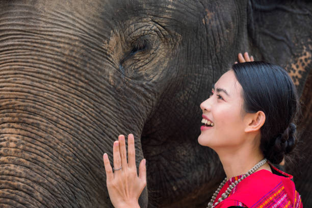 istock Young Asian woman laughing happily at an elephant. 1323662005