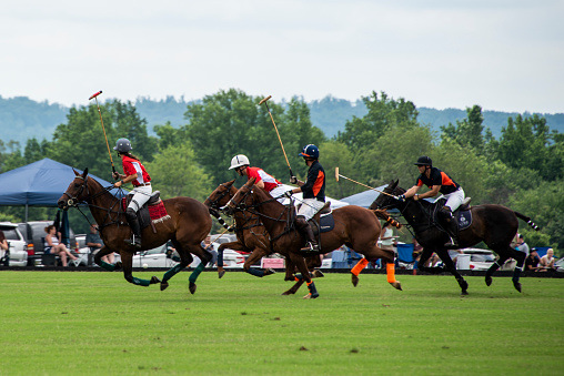 Crozet, Virginia, USA - June 13, 2021: An exciting polo match played on June 13, 2021. The two teams playing are Acme and Thalhimer. The teams consist of mixed male and female players. Spectators can be seen lining the field enjoying the game with chairs and tents and enjoying wine and food.The polo players are running the horses at a full gallop competing to gain control of the ball.