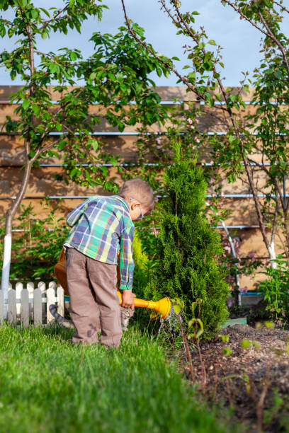 istock Child watering can watering a garden in the backyard 1323662854