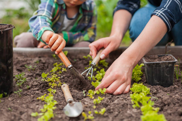 Photo of Child and mother gardening in vegetable garden in backyard