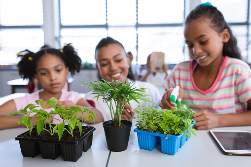African american female teacher and two girls spraying water on plants in the class at school. school and education concept