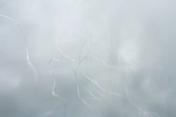 istock Extreme macro of polyester stable fiber 1323669914