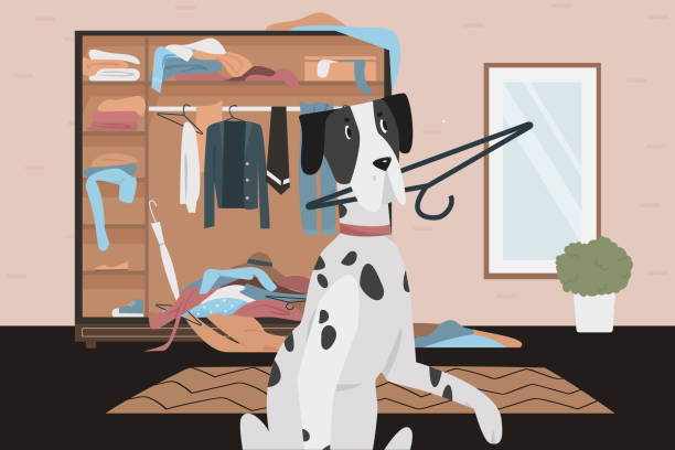 ilustrações de stock, clip art, desenhos animados e ícones de guilty naughty dog with bad habits behavior, playful dalmatian dog holding clothes hanger in teeth - breaking the habit