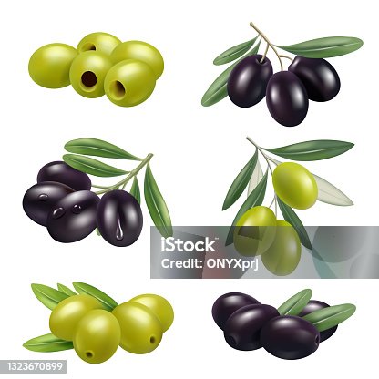 istock Green olives. Closeup greece authentic food olives branches products ingredients decent vector illustrations set 1323670899
