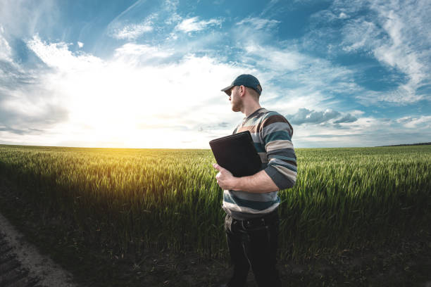 istock A young agronomist holds a folder in his hands on a green wheat field. A farmer makes notes on the background of agricultural land during sunset. Man in a cap with a folder of documents 1323672693