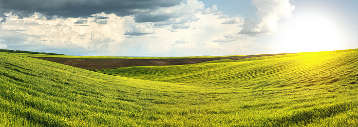 panoramic view of plowed field and a field of winter wheat in the hilly terrain with cloudly sky of Ukraine