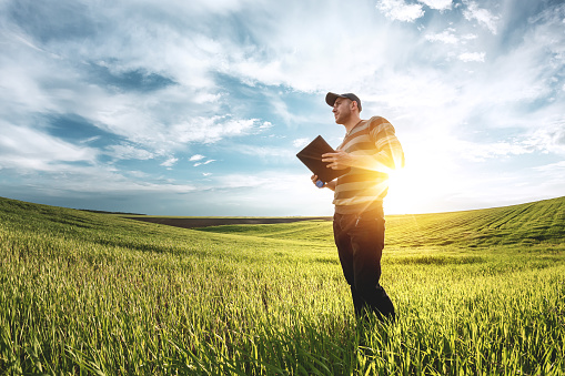 Un joven agrónomo tiene una carpeta en sus manos en un campo de trigo verde. Un agricultor toma notas sobre el fondo de la tierra agrícola durante la puesta del sol. Hombre con una gorra con una carpeta de documentos photo