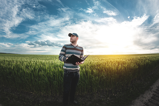 A young agronomist holds a folder in his hands on a green wheat field. A farmer makes notes on the background of agricultural land during sunset. Man in a cap with a folder of documents