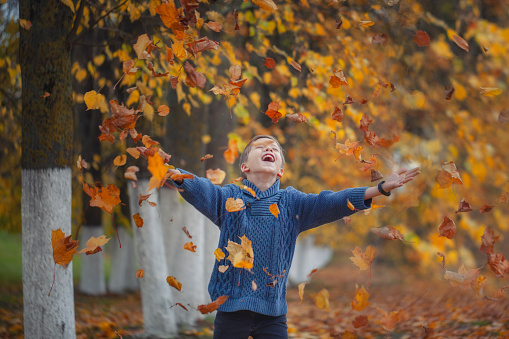Handsome happy boy throwing the fallen leaves up, playing in the autumn park