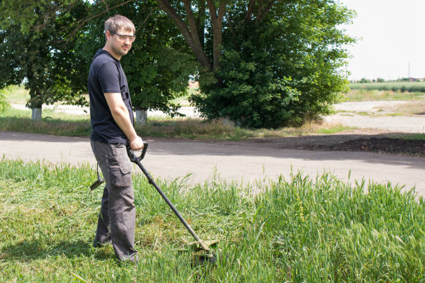 istock A man with an electric lawn mower mows the grass. 1323674363