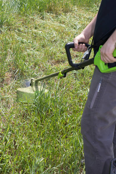 istock A man with an electric lawn mower mows the grass 1323674366