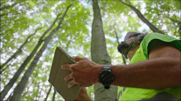 istock Ecologist on fieldwork. Forester examines trees in their natural condition in the forest and taking samples for in-depth research. Ecosystem care and sustainability. 1323675810