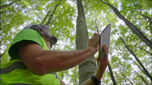 istock Ecologist on fieldwork. Forester examines trees in their natural condition in the forest and taking samples for in-depth research. Ecosystem care and sustainability. 1323675812