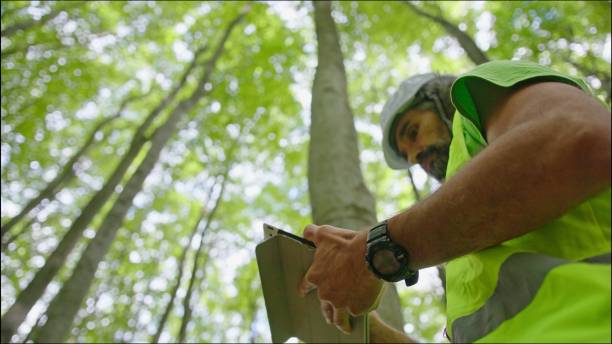 istock Ecologist on fieldwork. Forester examines trees in their natural condition in the forest and taking samples for in-depth research. Ecosystem care and sustainability. 1323675817