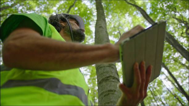 istock Ecologist on fieldwork. Forester examines trees in their natural condition in the forest and taking samples for in-depth research. Ecosystem care and sustainability. 1323675826