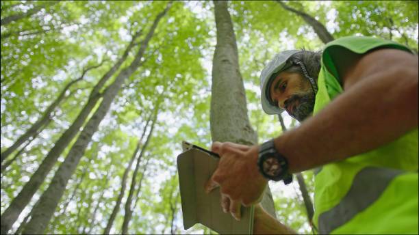 istock Ecologist on fieldwork. Forester examines trees in their natural condition in the forest and taking samples for in-depth research. Ecosystem care and sustainability. 1323675830