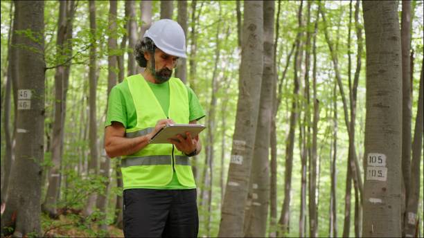 istock Ecologist on fieldwork. Forester examines trees in their natural condition in the forest and taking samples for in-depth research. Ecosystem care and sustainability. 1323675832