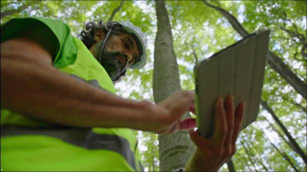istock Ecologist on fieldwork. Forester examines trees in their natural condition in the forest and taking samples for in-depth research. Ecosystem care and sustainability. 1323675836