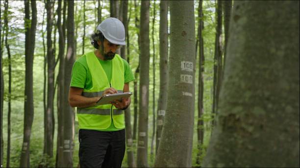 istock Ecologist on fieldwork. Forester examines trees in their natural condition in the forest and taking samples for in-depth research. Ecosystem care and sustainability. 1323675837