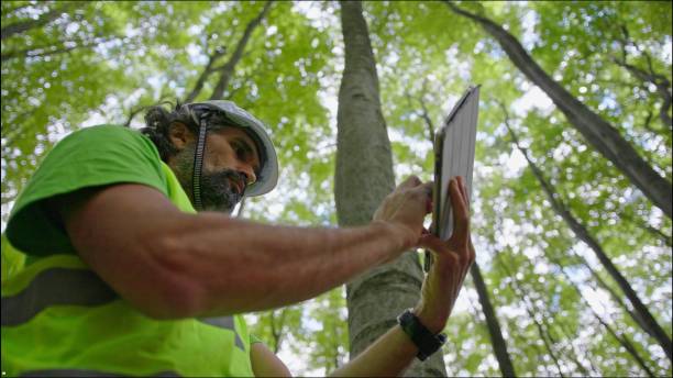 istock Ecologist on fieldwork. Forester examines trees in their natural condition in the forest and taking samples for in-depth research. Ecosystem care and sustainability. 1323675844