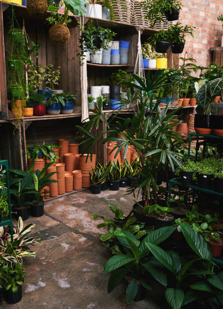 istock Shot of an empty plant nursery 1323679132