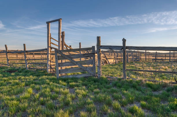 istock Old Corral near Val Marie 1323680479