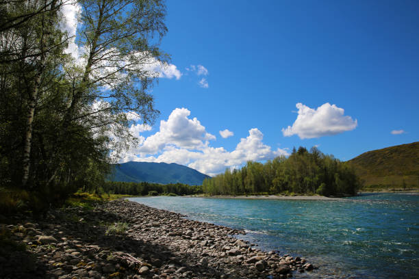istock Katun river in the Altai mountains 1323683710
