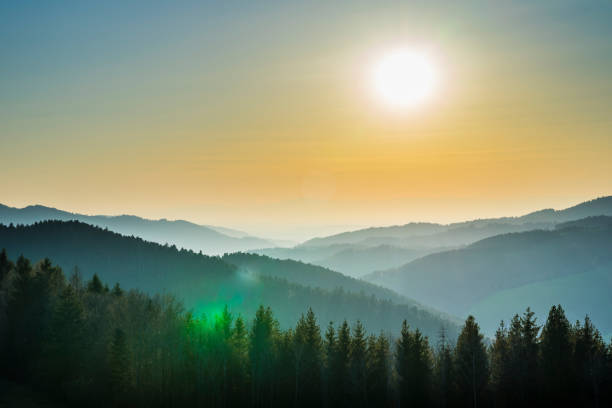 istock Germany, Magical black forest trees nature landscape covered valley sillhouette panorama view from top of a mountain in the evening on a foggy day 1323685762