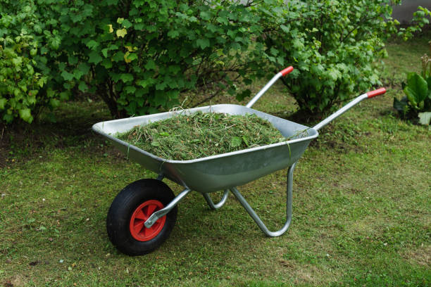 istock garden cart filled with grass 1323685966