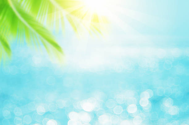 istock Blur beautiful nature green palm leaf on tropical beach with bokeh sun light wave abstract background. 1323686675
