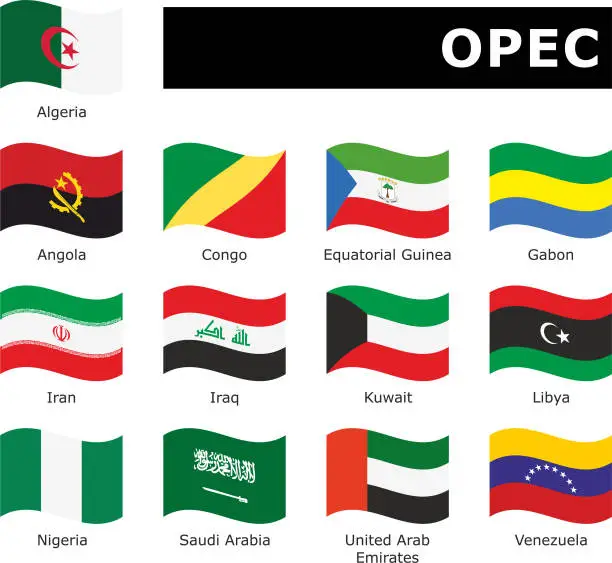 Vector illustration of set wavy flag OPEC with names