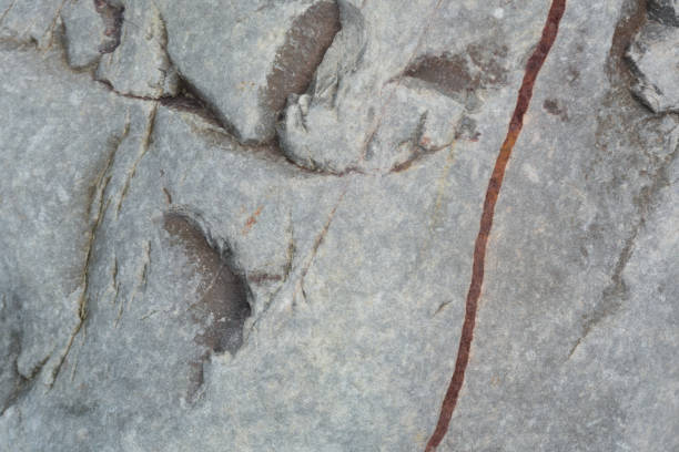 istock Close up stone surface showing texture in the rock 1323688208