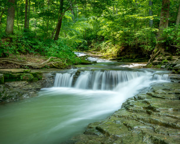 istock A river in Saunders Springs Natural Preserve 1323688895