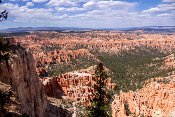 istock A wide shot Inspiration Point at Bryce Canyon Utah 1323693565