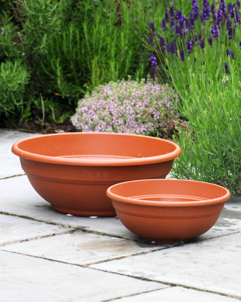 istock Wide Shallow Terracotta Flower Pots 1323694529