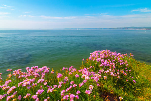 A hill trip in Exmouth, England this year 2021