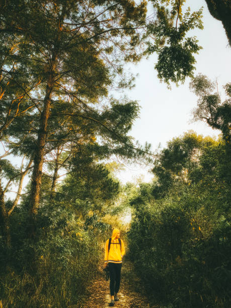 istock Young man photographer in yellow jacket walking in forest 1323699448