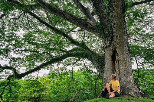 Young man  sitting under the tree , inspiratoin , motivation , freedom and recreation concept