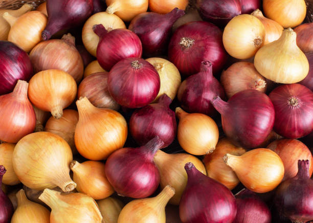 istock Background from red and yellow onions. Healthy vegetable, copy space 1323702936