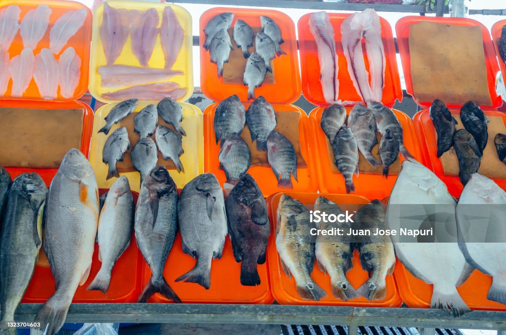 Colorful fresh tropical fish in the market of Lima, Peru. Colorful fresh tropical fish in the market of Lima, Peru Above Stock Photo