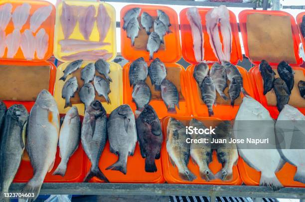 Colorful Fresh Tropical Fish In The Market Of Lima Peru Stock Photo - Download Image Now