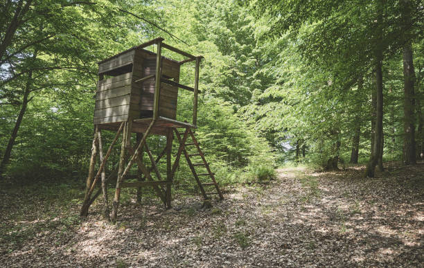 istock Wooden deer hunting blind in a forest. 1323705982
