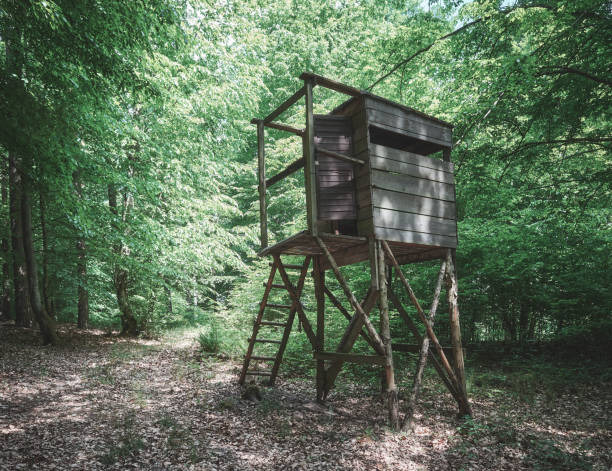 istock Wooden deer hunting blind in a forest. 1323706018