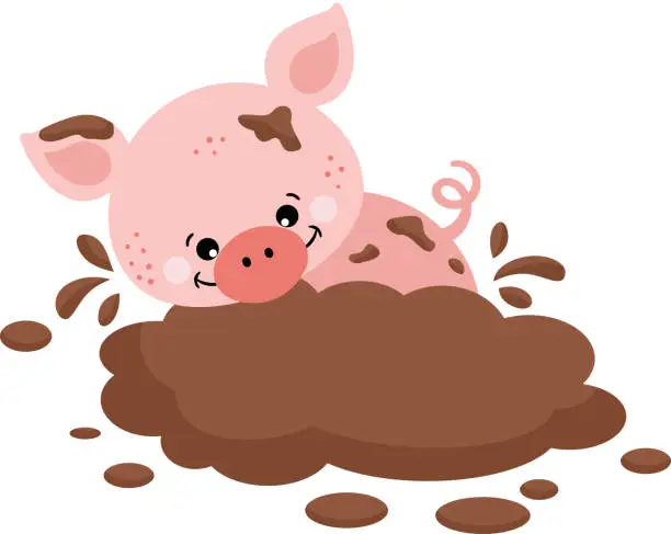 Vector illustration of Funny pig playing in the mud