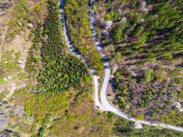 vista aérea de arriba hacia abajo del dron de la carretera curva en el bosque. - road winding road mountain spiral staircase fotografías e imágenes de stock